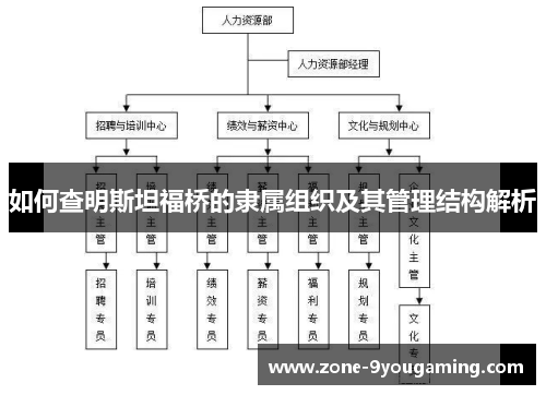 如何查明斯坦福桥的隶属组织及其管理结构解析