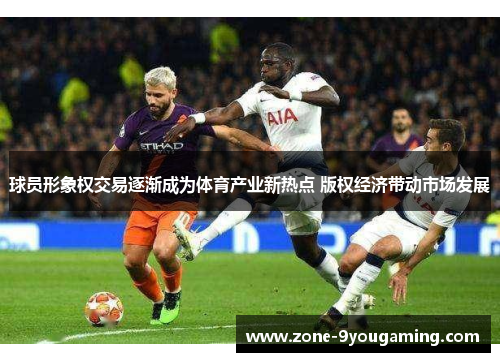 球员形象权交易逐渐成为体育产业新热点 版权经济带动市场发展