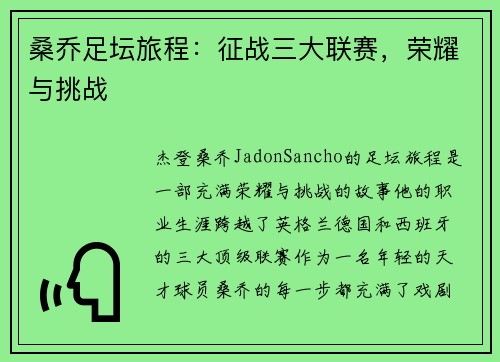 桑乔足坛旅程：征战三大联赛，荣耀与挑战